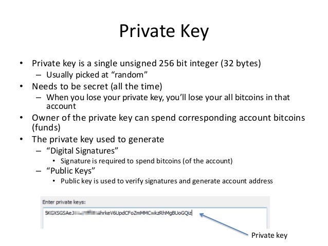 Bitcoin Cryptocurrency - 